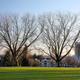 Illustration for article titled Pics from the Curbside: 2018-02-04 to Marpole at Dusk and Night